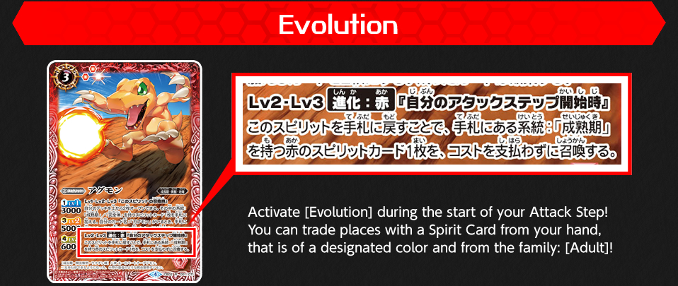 Evolution
