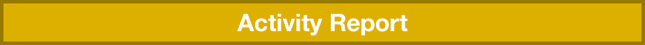 Activity Report