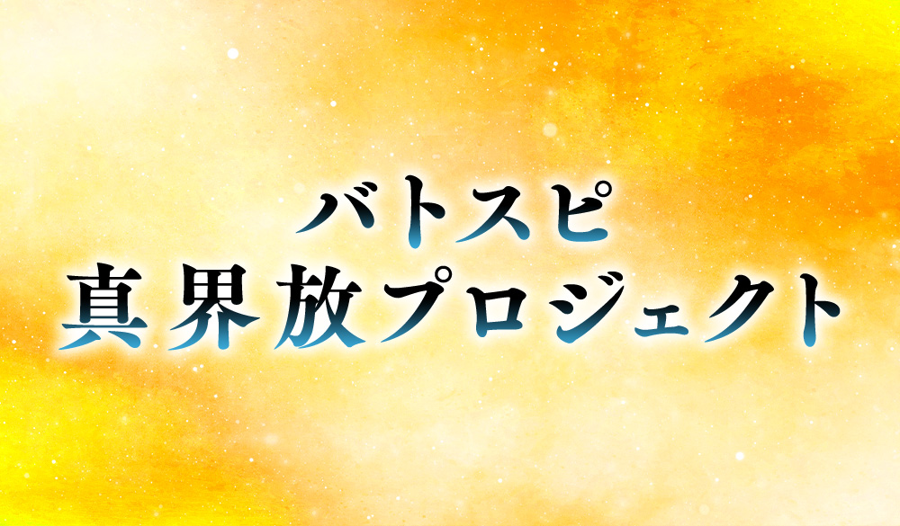Battle Spirits Shin Kaihou Project Presentation Report